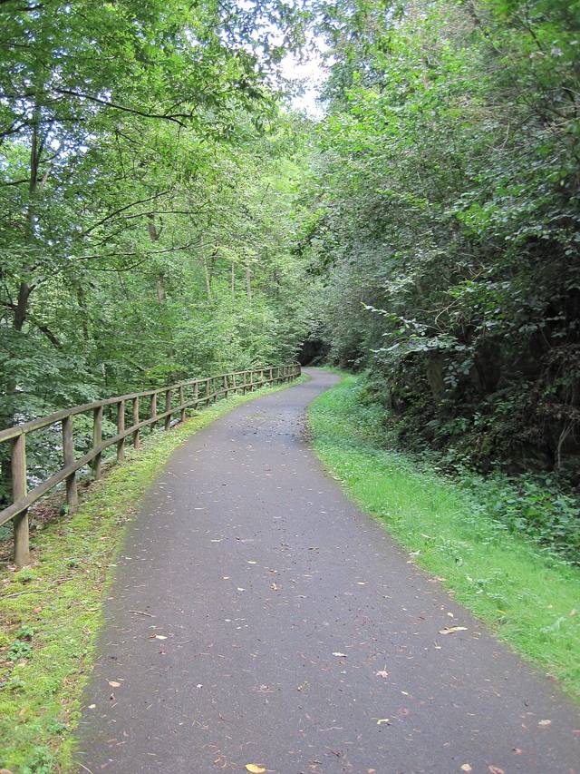 Loreley-Aar-Radweg