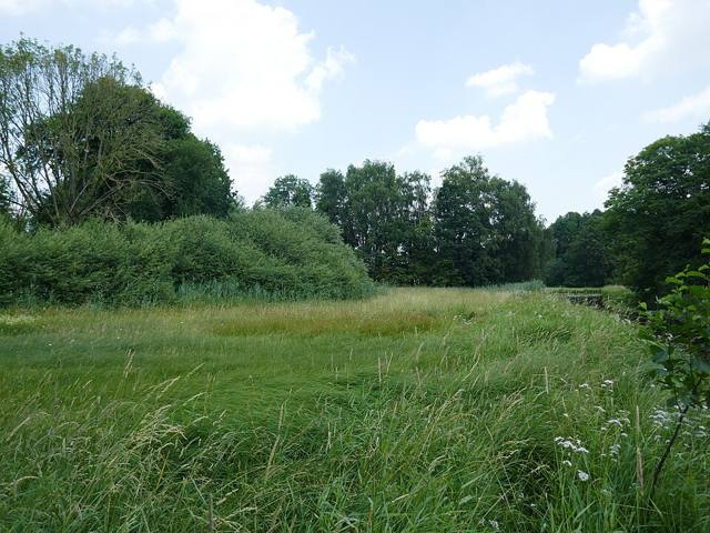 Tiergarten und Schachblumenwiese