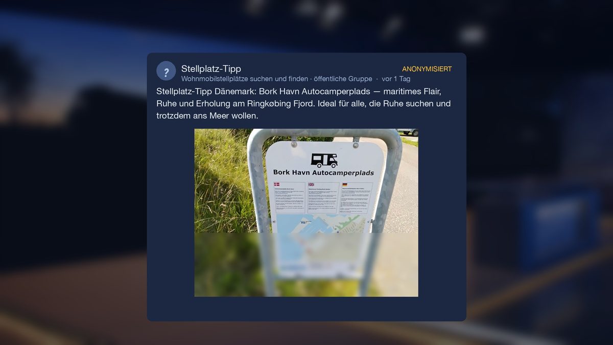 Stellplatz-Tipp: Bork Havn, der Autocamperplads am Ringkøbing Fjord in Dänemark.