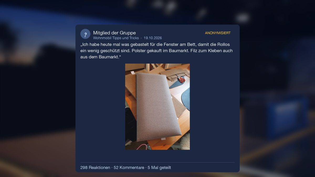 Anonymisierter Beitrag mit Foto: graues Wandpolster mit Klebefilz – 298 Reaktionen, 52 Kommentare