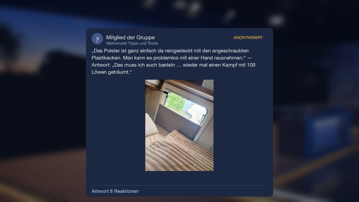 Foto: das Polster steckt unten im Fensterrahmen am Bett – Antwort mit 8 Reaktionen über nächtliche Kämpfe mit hundert Löwen